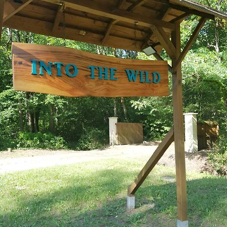 Into The Wild - Nos 5 Logements "Atypiques" Belin-Beliet Exterior foto