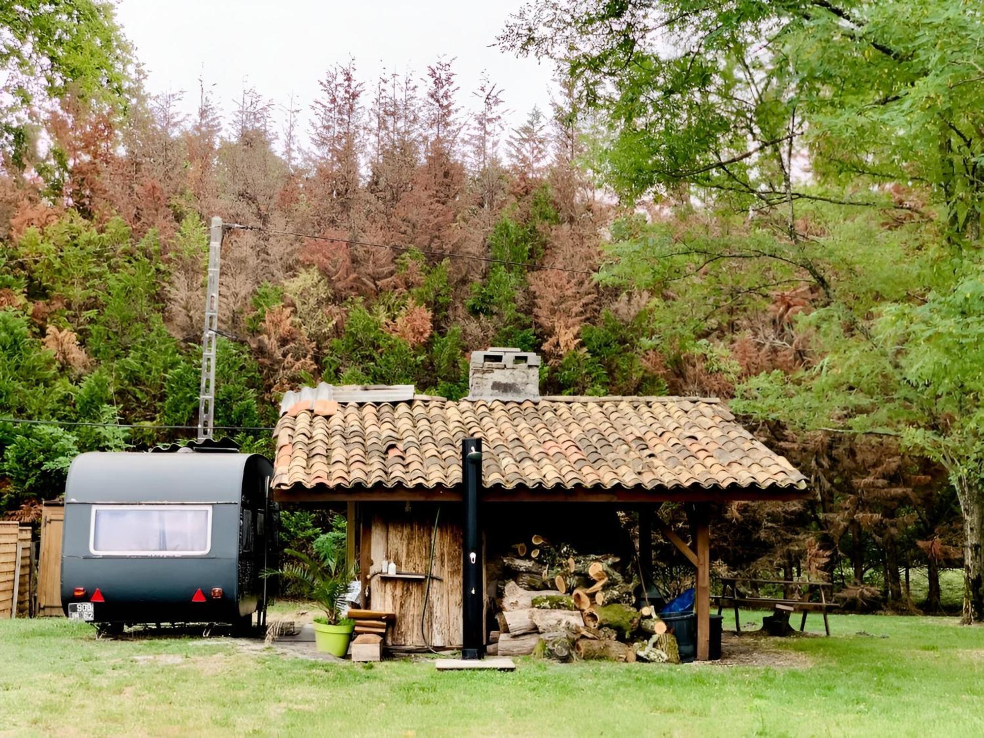 Into The Wild - Nos 5 Logements "Atypiques" Belin-Beliet Exterior foto